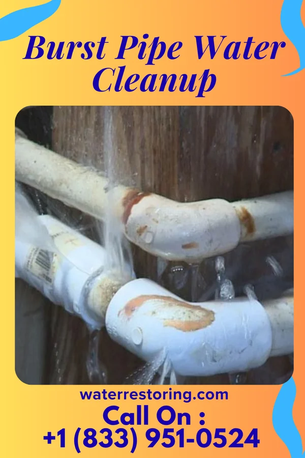 Burst Pipe Water Cleanup in Glen Park, NY
