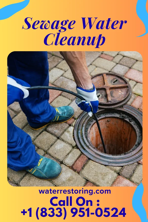 Sewage Water Cleanup in Glen Park, NY