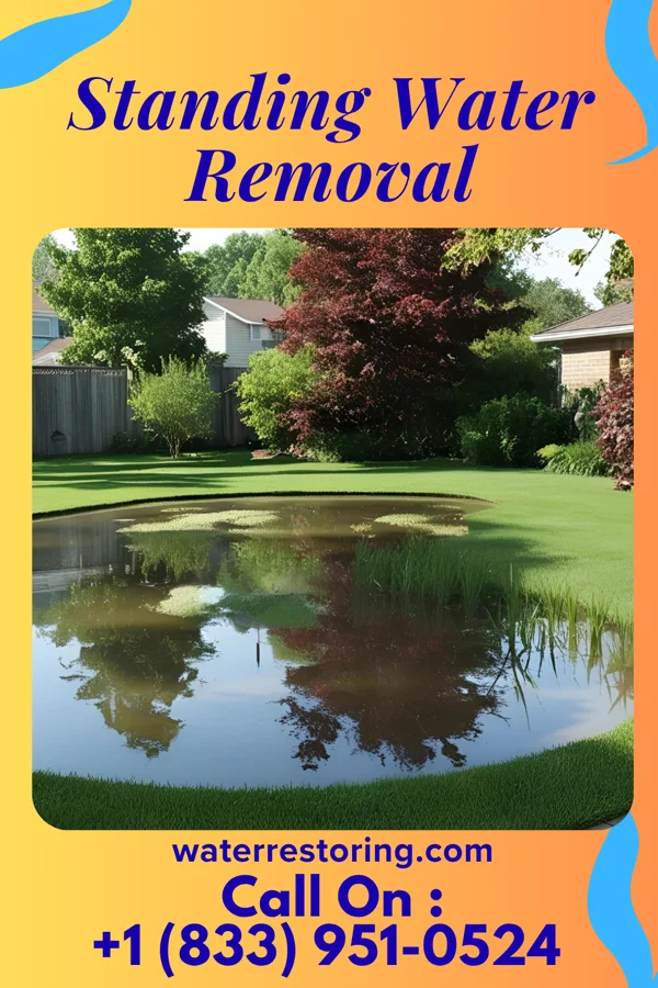 Standing Water Removal in Glen Park, NY